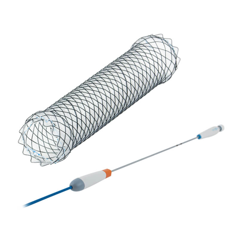 TTS Tracheal and Bronchial Stents