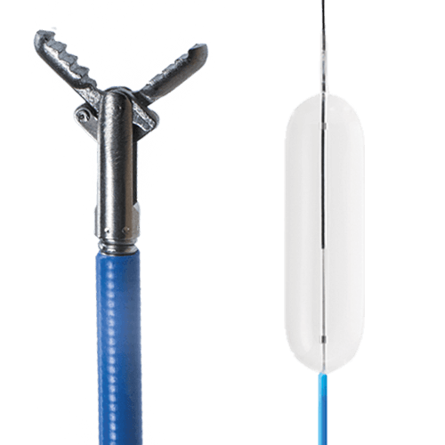 Single-Wire Biopsy Forceps
